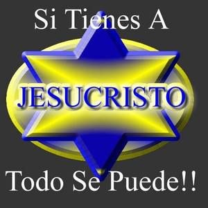 Meet your Posher, Elviz